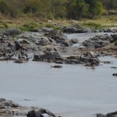  The Serengeti, TZ